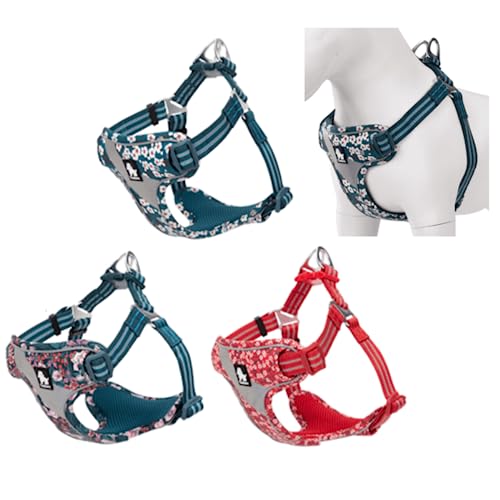 Juvendy K㗝X Truelove t[m[vybgn[lX pn[lX S Navy blazer COH꒼