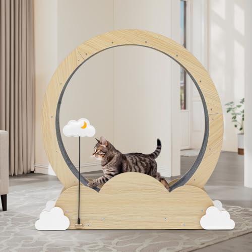 DWVO 43in Cat Exercise Wheel for Indoor Cats with Locking Mechanism, Natural Solid Wood Sturdy Cat Treadmill Wheel with Detachable Carpet, Suitable for Most Cats