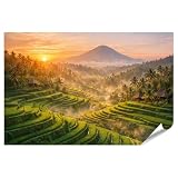 islandburner Premium Poster Bali Reisfelder bei 