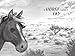 A Horse Named Sky: A Young Mustang’s Gripping Adventure with the Pony Express―a Stand-Alone Companion to the New York Times Bestselling A Wolf Called Wander (A Voice of the Wilderness Novel)