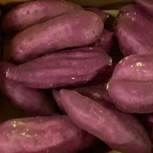 【茨城県産】訳あり 紅優甘 べにゆうか 紅はるか 大きさお任せ 約5kg 【茨城県産】訳あり 紅優甘 べにゆうか 紅はるか 大きさお任せ 約5kg