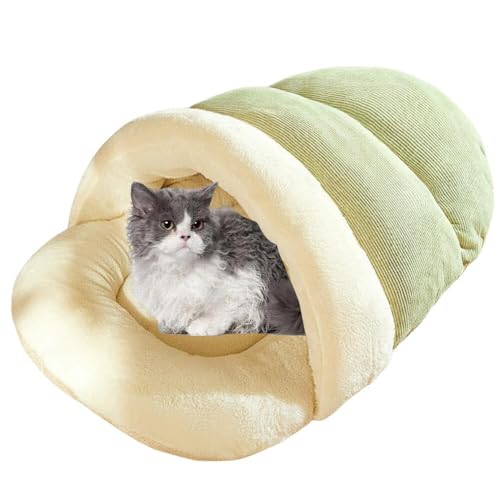 Lifetips L Lambkin ybgxbh Lp ~p Q܌^ ӂӂ NbV ۉ h 􂦂 ^ ^   k \t@ nEX ObY o Ή Q R hL  AQ 