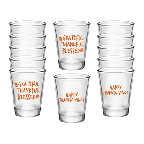Thanksgiving Shot Glasses Set of 12 Cover