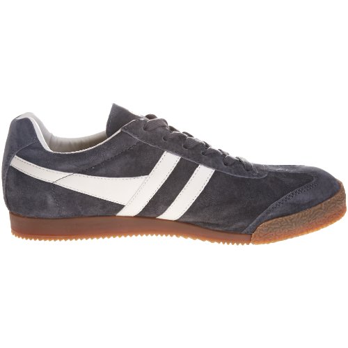 Image of Gola Harrier