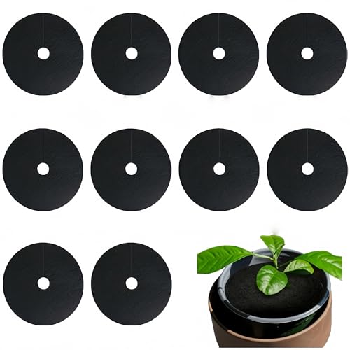 Granmagazz Anelli per pacciamatura in tessuto non tessuto, 10 pezzi dischi per pacciamatura alberi, 15 cm, protezione contro le erbacce, tappetino protettivo rotondo in tessuto non tessuto per piante