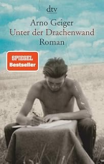 Unter der Drachenwand: Roman