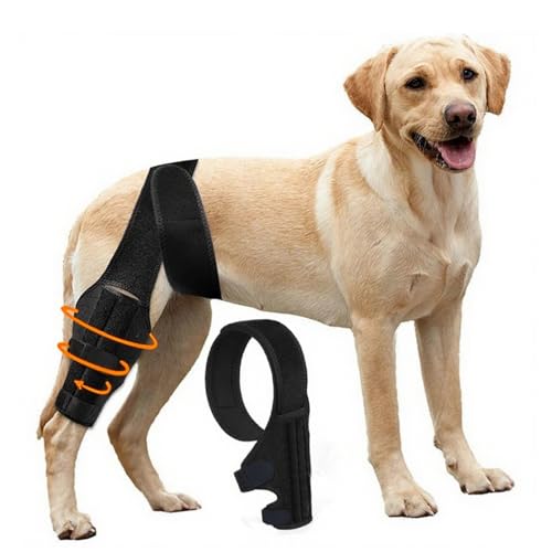 YEHALEANS Dog Knee Brace for Torn Acl Hind Leg, Adjustable Dog Knee Brace, Helps Relieve Anterior...