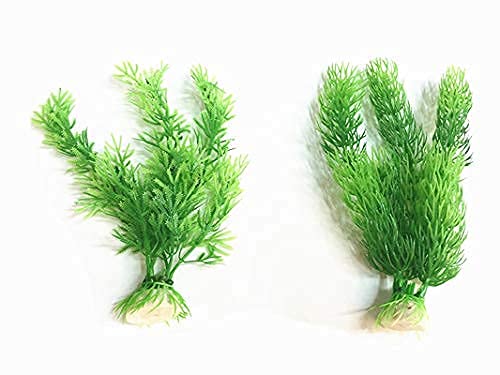 Kapoor pets Plastic Aquarium Water Plants/Aquatic Grass, 2 Pieces, Green 4 inch Hight (B0974JS2QP) Amazon Price History, Amazon Price Tracker