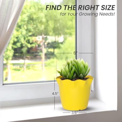 Image of YUCCABE ITALIA SHERA 8 Inch Plastic Flower Pot 12 Piece Set of Unbreakable Round Shape Planter for Home Garden Seedling, Indoor and Outdoor (Yellow)