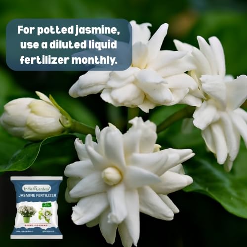 Image of Indian Gardens - Jasmine Organic Fertilizer | Plant Food For Flowering Plants | Flower Booster (5 Kg)