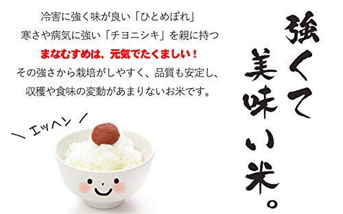 Amazon.co.jp: 令和7年産〈玄米 まなむすめ 30kg〉宮城県産 もっと！銀 