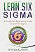Lean Six Sigma: A Simplified Beginners Guide to Lean Six Sigma (Lean Enterprises)