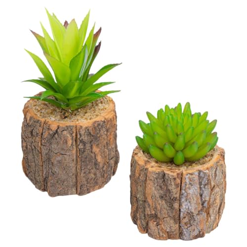 ETHZZLE �~�j���A���~�� �ؐ��A�ؔ����� �l�H�����A�� �V�~�����[�V���������A�� �f�X�N�g�b�v�f�R���[�V���� ���r���O �I�t�B�X �X�ܗp 2��