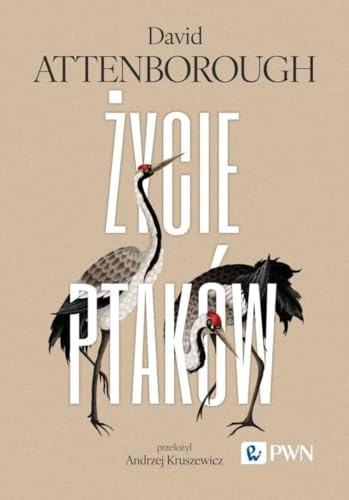 Życie ptaków