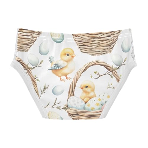 Easter Chicks Egg Toddler Boy's Underwear 2T 202b90322