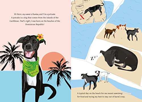 Rescuing Rumba: A Tale about Dog Rescue and Forever Friendship - Thumbnail 3