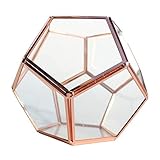 glasterrarium kaufen billig * Dieses Kunstwerk eignet sich auch hervorragend zur Präsentation Ihrer Lieblingskollektion