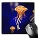Price comparison product image 3dRose mp_88462_1 8 x 8-Inch Sea Nettle, Monterey Bay Aquarium, California - Us05 Jgs0147 - Jim Goldstein Mouse Pad
