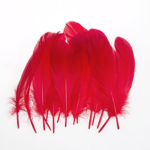 LanShi 100pcs 6-8 Inches 15-20CM Genuine Nature Goose Feather Jewelry Making Crafts (Red)