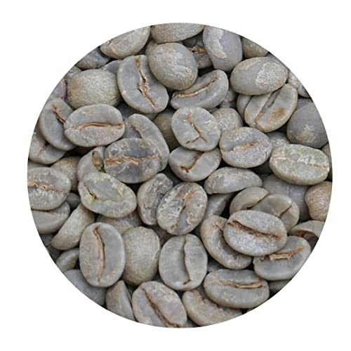 ブラジルNo2 S17/18 クィーンショコラ Qグレード 1kg