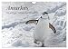 Produktbild Antarktis, die eisige Heimat der Pinguine (Wandkalender 2026 DIN A4 quer), CALVENDO Monatskalender: Ein kleiner Einblick in die bezaubernde, eisige Natur am südlichen Ende der Welt. (CALVENDO Natur)