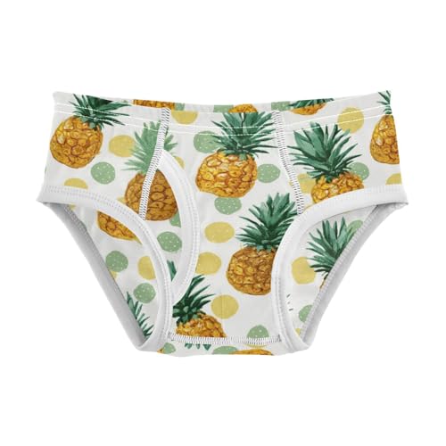 Wusikd Pineapple Polka Dots Boys' Underwear Cotton Boys Briefs Soft Toddler Underwear 2T
