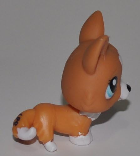 lps corgi amazon