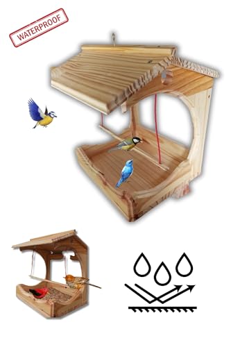 Tratador de Pássaros em Madeira Maciça com Poleiro, 28x24x32 cm, Resistente ao Tempo