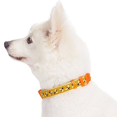 Blueberry Pet Essentials 10 Patterns Statement Busy Bees Designer Adjustable Dog Collar, Medium, Neck 14.5"-20" #TOP3