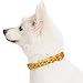 Blueberry Pet Essentials 10 Patterns Statement Busy Bees Designer Adjustable Dog Collar, Medium, Neck 14.5