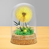 Adatto a tutte le occasioni: i regali decorativi in ​​vetro a forma di dente di leone sono perfetti per tutte le occasioni importanti come compleanni, San Valentino, Festa della Mamma, Natale, matrimoni, lauree, ecc. Sono regali premurosi per fidanzate, madri, sorelle e insegnanti, e ideali anche per parenti, amici o colleghi. Possono anche essere usati come oggetti decorativi per aggiungere atmosfera e risalto a qualsiasi celebrazione.
