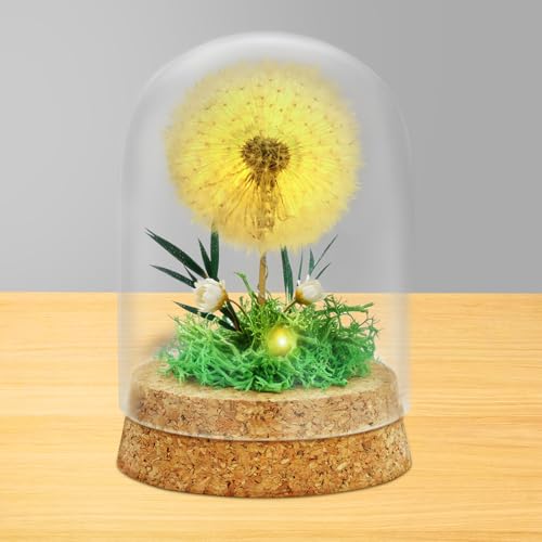 AOOTE Real Dandelion in Glass, Light Up Dandelion in Glass Dome, Eternal Dandelions Decoration with LED Fairy Lights, Decorative Gifts in glass Lucky Charm and Small Item for Birthday Christmas Decor