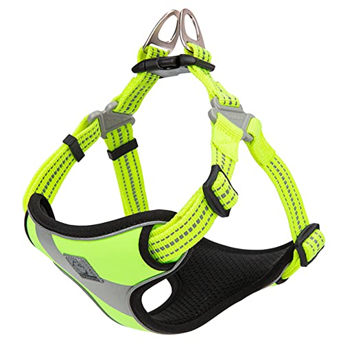 J&C Paradise K n[lX {KX p ȒP ڗ 3M y SȂ  lC v ʋC TRUELOVE (lIECG[, M)