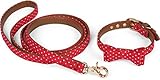 ♥ Puedes ajustar el collar individualmente mediante el cierre de hebilla en 6 niveles a una distancia de 1,2 cm al contorno del cuello. La correa para perros tiene una longitud de 1,2 m y una anchura de 1,3 cm. Gracias a la correa de piel sintética, la correa es agradable y antideslizante en la mano y se puede fijar fácilmente y rápidamente al collar con la ayuda del mosquetón con eslabón giratorio. El collar tiene una anchura de 1,3 cm.