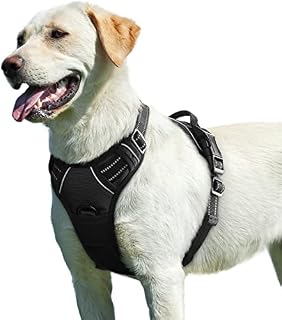 Eagloo Dog Harness, No Pull Pet Harness for Large Dogs, Front Clip Vest Harness Adjustable, Soft Padded Dog Vest, Reflective No-Choke Breathable with Easy Control Handle, Green, L
