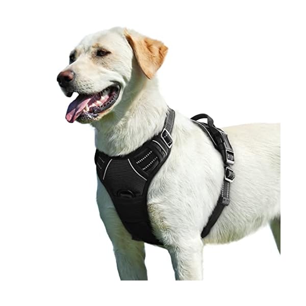 Eagloo Dog Harness No Pull, Walking Pet Harness with 2 Metal Rings and Handle, Adjustable Reflective Breathable Oxford Soft Vest Easy Control Harness for Small Medium Large Dogs, Black, L Eagloo Dog Harness No Pull, Walking Pet Harness with 2 Metal Rings and Handle, Adjustable Reflective Breathable Oxford Soft Vest Easy Control Harness for Small Medium Large Dogs, Black, L