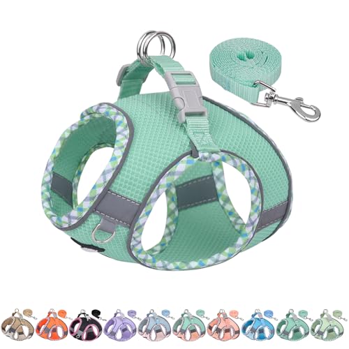 AIITLE Durable Hundegeschirr und Leine Set für Spaziergänge, Schritt in Welpengeschirr, weiche atmungsaktive Haustier Zubehör, reflektierende Bänder, für extra kleine Hunde und Hauskatzen Türkis XXXS