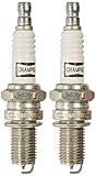 Champion (8819-2) Super Class Spark Plug - Pack of 2