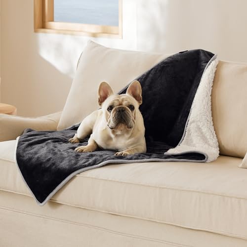 Image of Bedsure Cat Blanket for Indoor Cats - Waterproof Calming Cat Blankets for Couch Protection, Sherpa Fleece Pet Blanket, Soft Plush Reversible Throw Furniture Protector, 40 inchx30 inch, Black