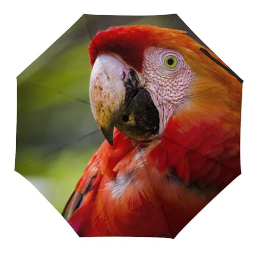 Parapluie pliant singe automatique compact anti-vent pour voyage