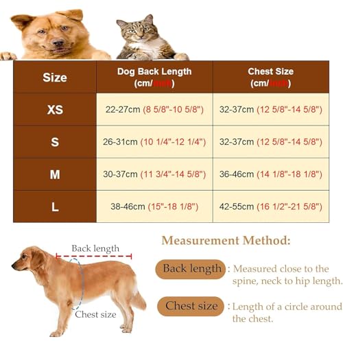 Fauteuil roulant pour chien à assistance complète : offrez-lui une seconde vie active