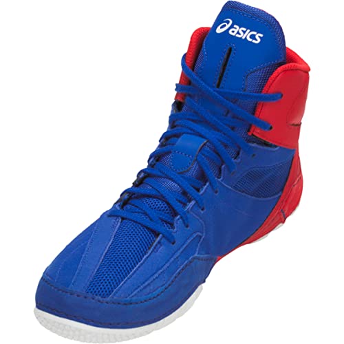 Image of ASICS Mens Dan Gable Evo Athletic Shoe