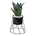Produktbild geometrische schwarz Blumentopf Keramik mit Eisen Kunst Rahmen stehen Neuheit Polyeder Mittelstück Vase Garten dekorative Blumentopf Pflanzgefäß Büro Wohnkultur