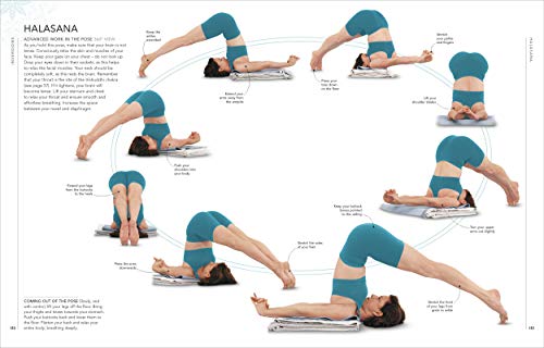 B.K.S. Iyengar Yoga The Path to Holistic Health: The Definitive Step-by-step Guide