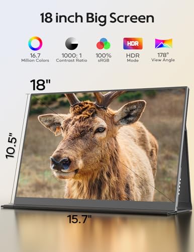 Image of 18 inch Portable Gaming Monitor, 2.5k 2560x1600, 16:10 Wide Screen, 100% sRGB, FreeSync, HDR, Laptop Screen Extender for Mac, Switch, Xbox, PS4 /5