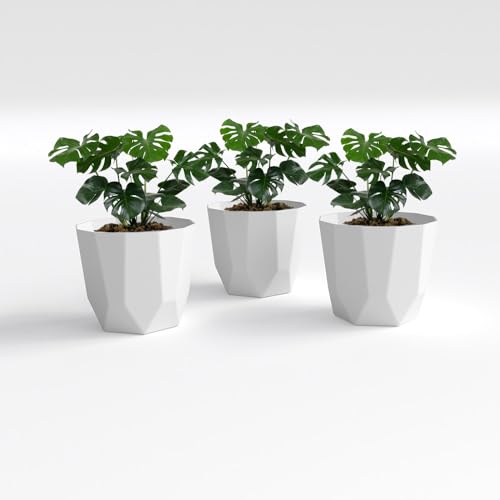 Image of YUCCABE ITALIA SHERA Hexa Plastic Planter Pot for Plants | Decorative Flower Pot | UV Protected Lightweight Indoor Outdoor Gamla for Home Decor, Balcony, Garden & Living Room