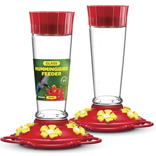 Hummingbird Feeder 10 oz [Set of 2] Glass Feeders for Outdoors, with Built-in Ant Guard - Circular Perch with 5 Feeding Ports - Wide Mouth for Easy Filling/2 Part Base for Easy Cleaning