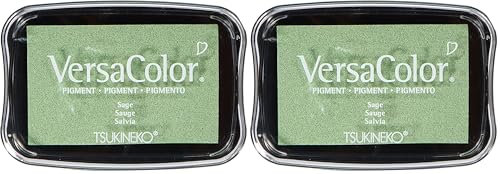 Tsukineko Versacolor Tampon encreur d’Encre pigmentée (Lot de 2)