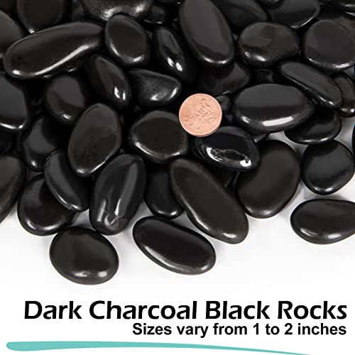 Gaspro 8Lb Black Stones For Plants, Vases, 1 To 2 Inch Decorative Rocks For Pots Indoor, High Polished #TOP1