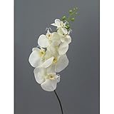 Gesamtlänge ca 86 cm. creativ home Kunstblume, PHALENOPSIS 86 cm. Orchidee, Orchideentrieb in CREME-48